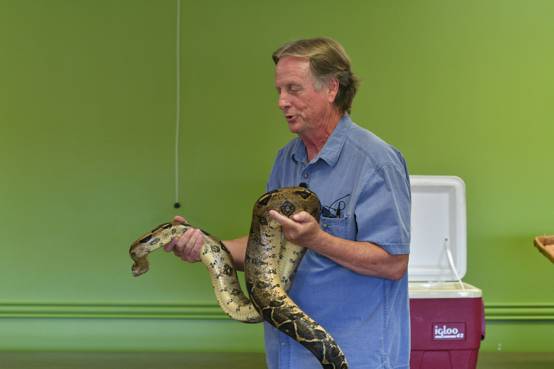 Snake Day at Clara B. Mounce Public Library